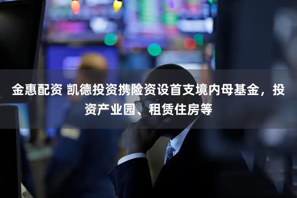 金惠配资 凯德投资携险资设首支境内母基金，投资产业园、租赁住房等