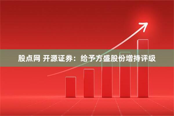 股点网 开源证券：给予方盛股份增持评级