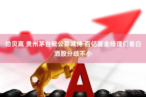 拾贝赢 贵州茅台被公募减持 百亿基金经理们看白酒股分歧不小