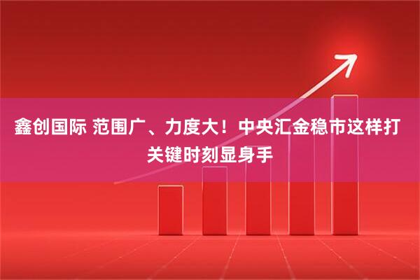 鑫创国际 范围广、力度大！中央汇金稳市这样打 关键时刻显身手
