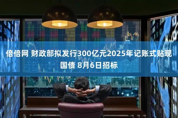 倍倍网 财政部拟发行300亿元2025年记账式贴现国债 8月6日招标