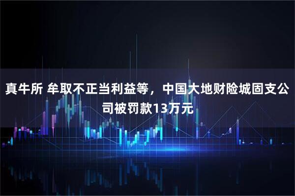 真牛所 牟取不正当利益等，中国大地财险城固支公司被罚款13万元